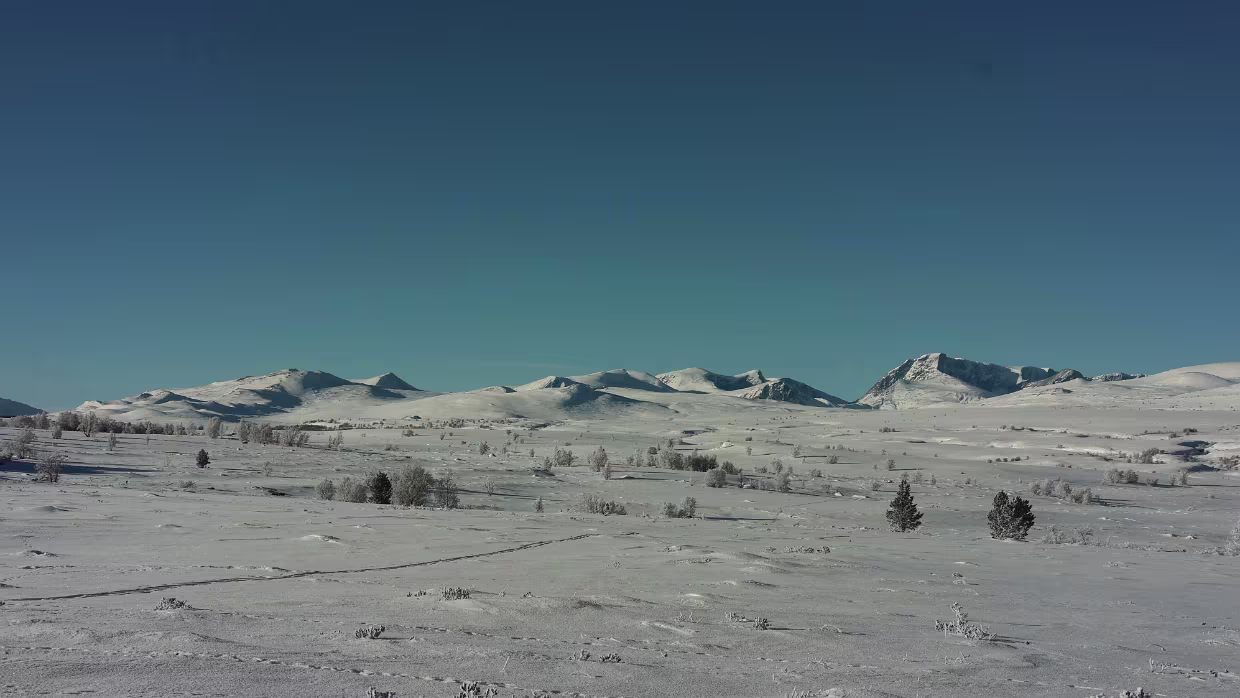 Norge, Sverige, Danmark, Suomi, Ísland Reisen in den hohen Norden