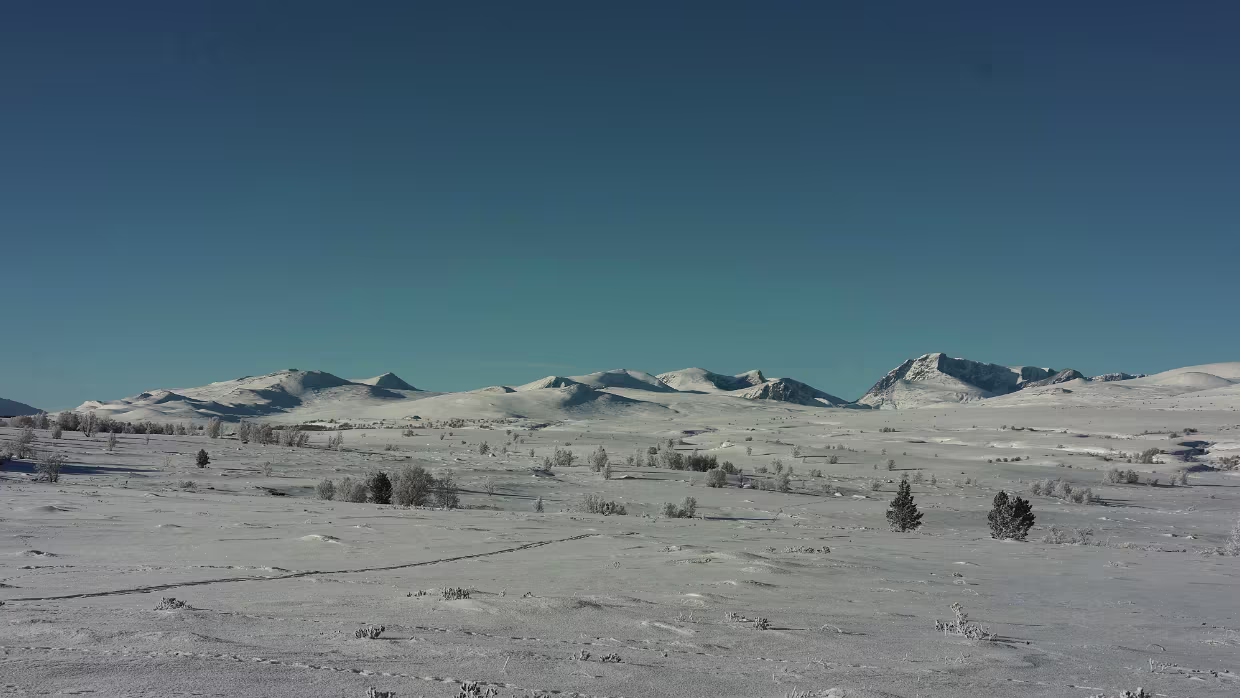 2026/01 (19) 2026/01 (19)